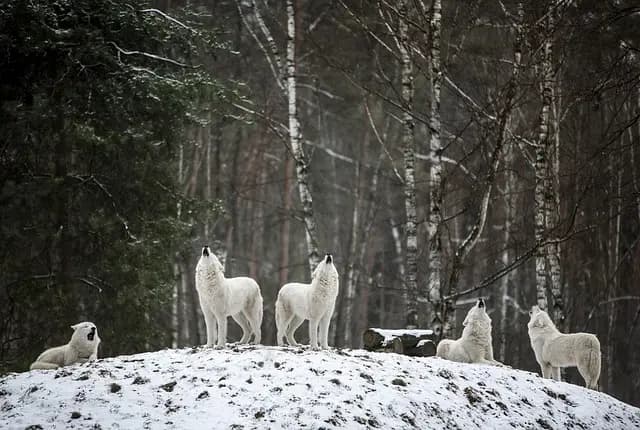 Les Meilleures Destinations pour des Sensations Fortes