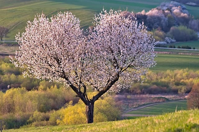 Les Sensations Fortes à Vivre Absolument : Top 10 des Activités